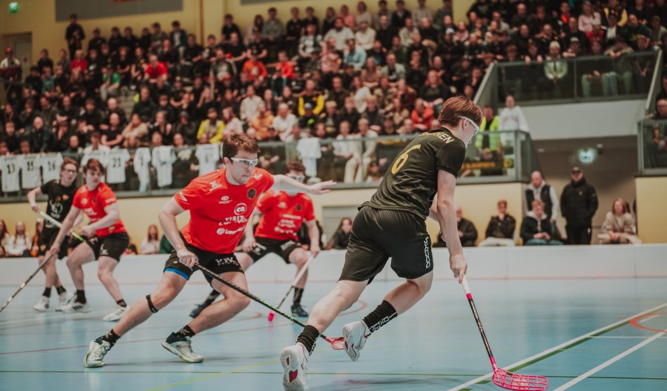 Vilkanen_Roosa_blackbirds-lnm_15032026-68
